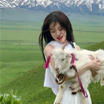 金龟车大闹旧金山