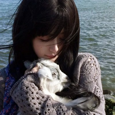 乱马12：热斗篇